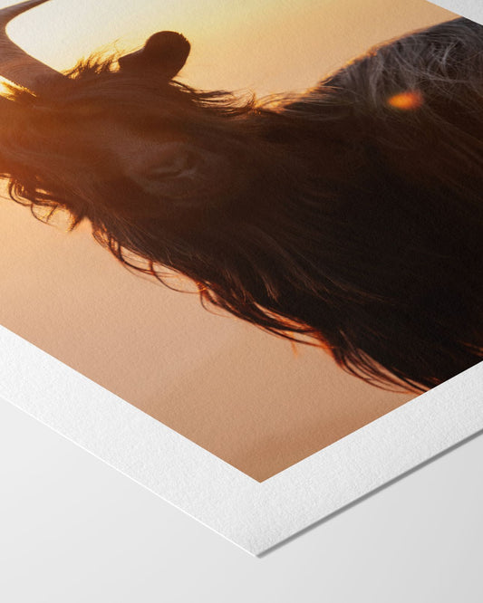 Im goldenen Licht - Kunstdruck