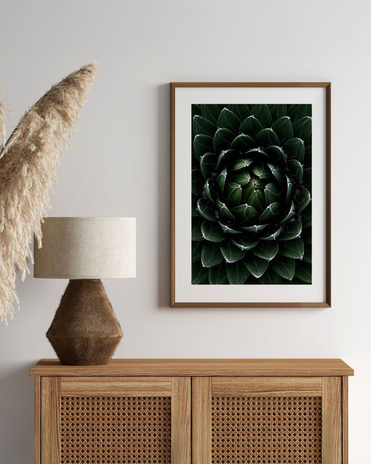 Perfektion der Natur