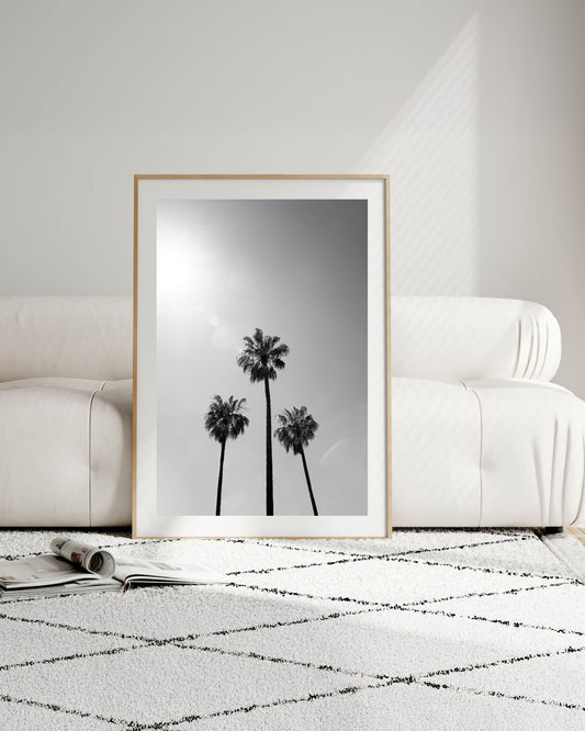 Silhouette des Südens