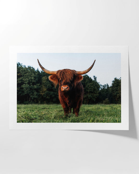 Schottischer Gast im Allgäu - Rahmenedition