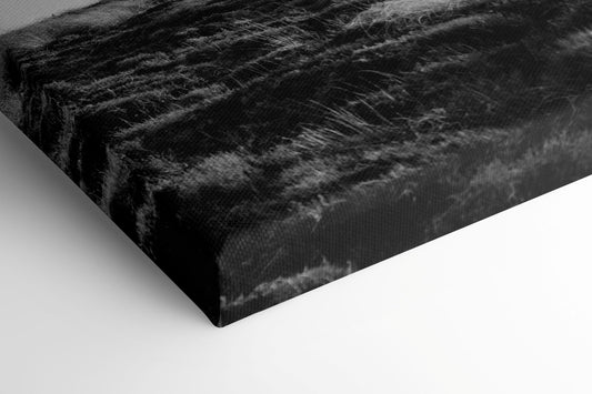 Pfadfinder - Leinwand