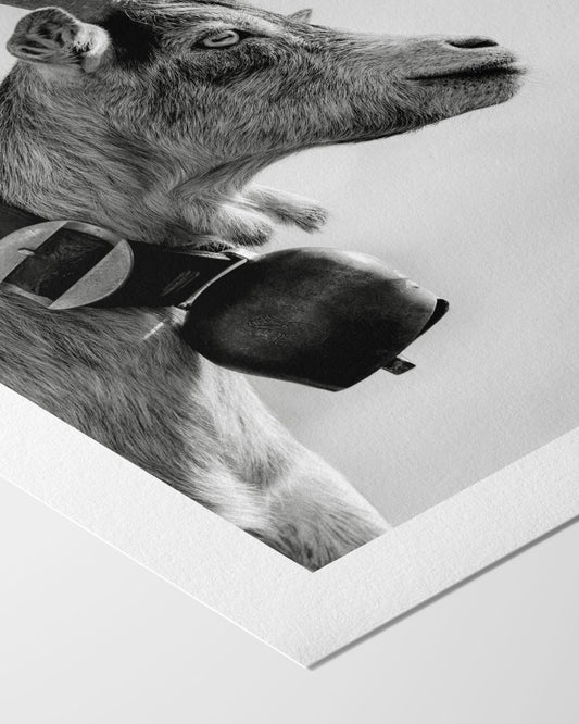 Alpenstolz - Kunstdruck