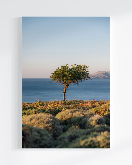 Ruhepunkt - Leinwand