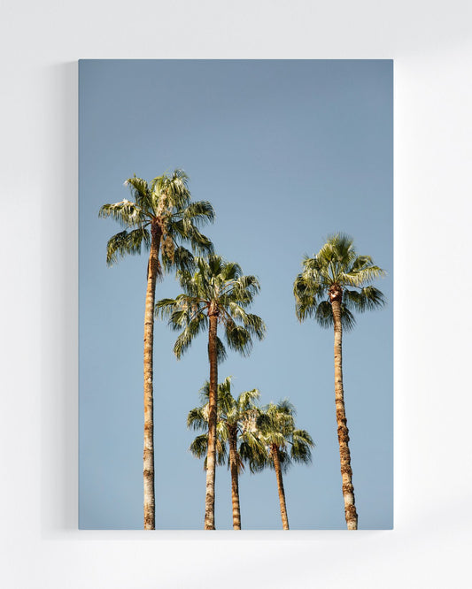 Palmenpoesie - Leinwand