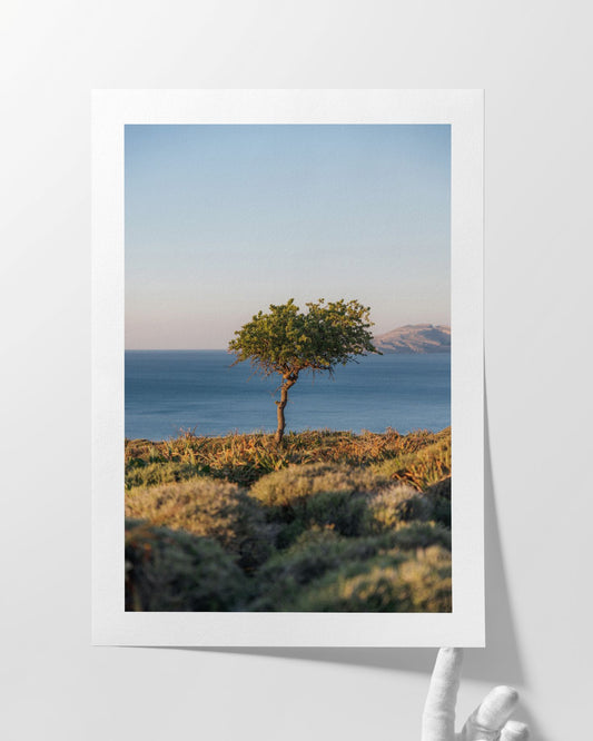 Ruhepunkt - Kunstdruck