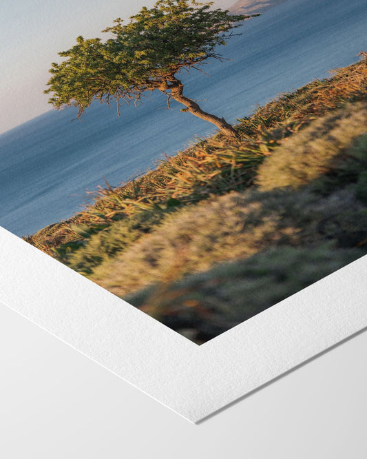 Ruhepunkt - Kunstdruck