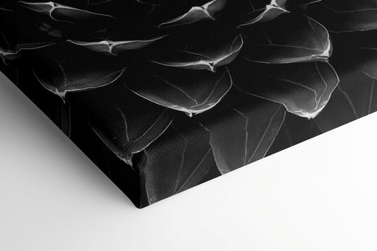 Symmetrie der Natur - Leinwand