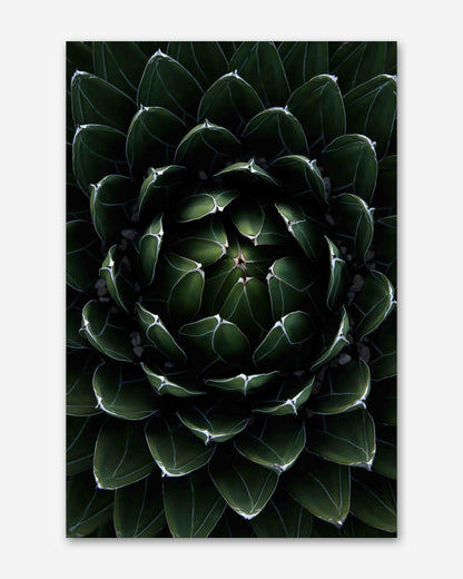 Perfektion der Natur