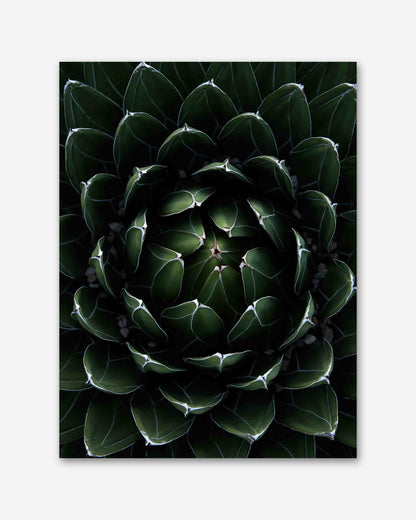 Perfektion der Natur