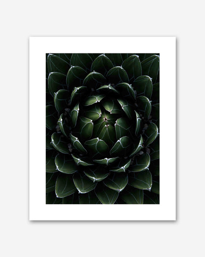 Perfektion der Natur