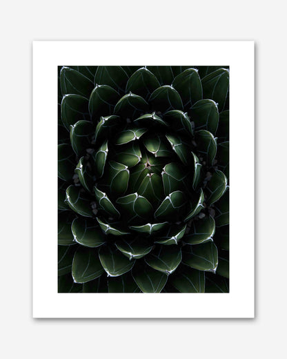 Perfektion der Natur