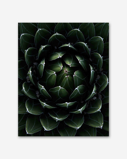 Perfektion der Natur