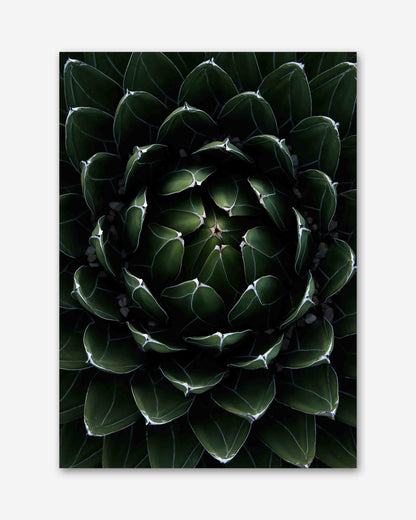 Perfektion der Natur