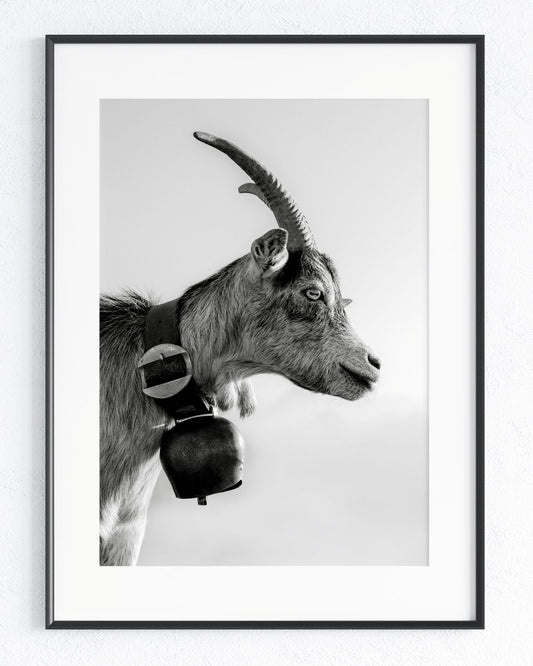 Alpenstolz - Rahmenedition