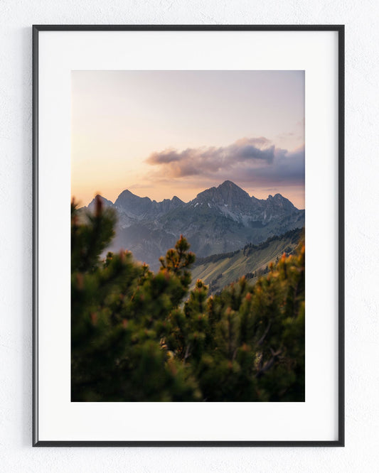 Stilles Land - Rahmenedition