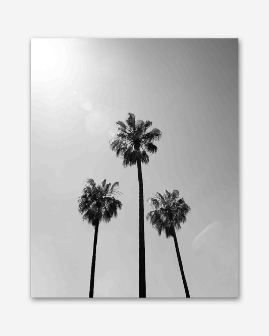 Silhouette des Südens