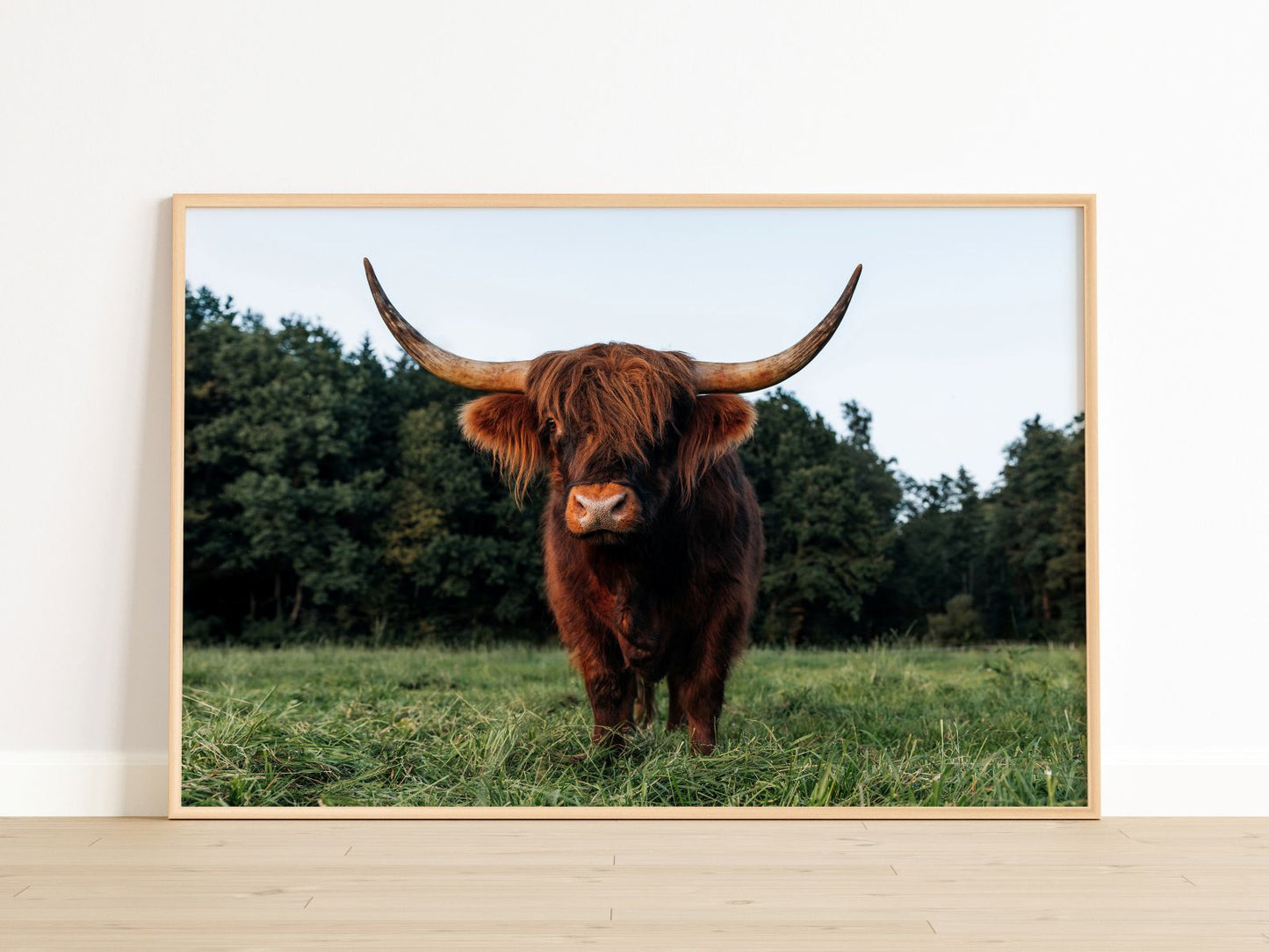 Schottischer Gast im Allgäu