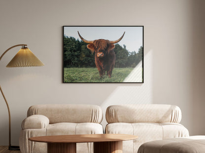 Schottischer Gast im Allgäu